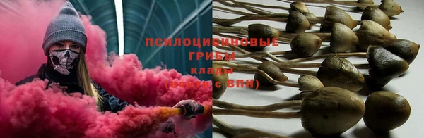 ГАЛЛЮЦИНОГЕННЫЕ ГРИБЫ Навашино