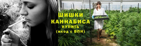 PSILOCYBIN Железногорск-Илимский