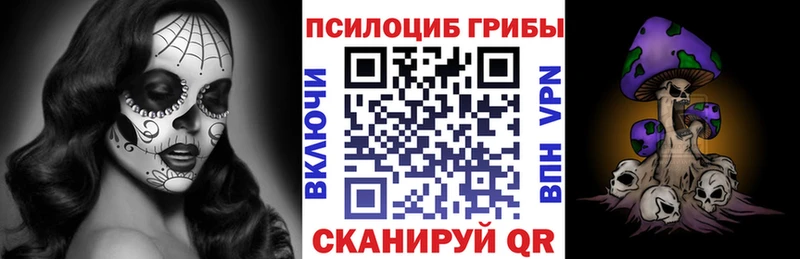 Псилоцибиновые грибы Psilocybe  Купить  Инза 